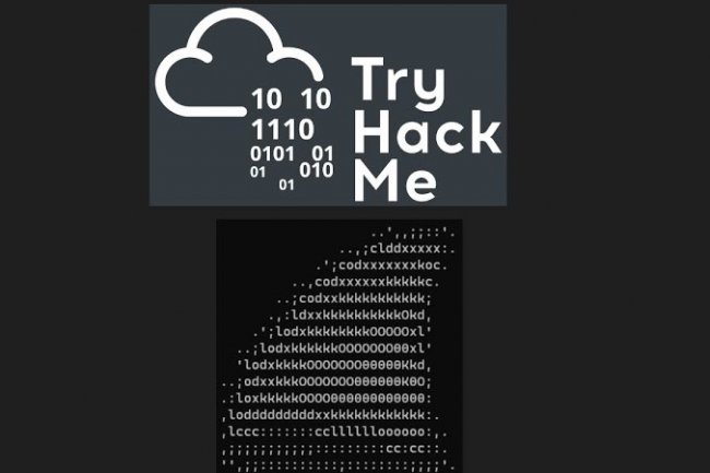 TRYHACKME TSHARK WRİTE-UP