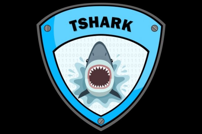 TSHARK NEDİR? NASIL KULLANILIR?
