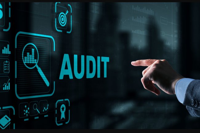 Audit Policy (Denetim Politikası)